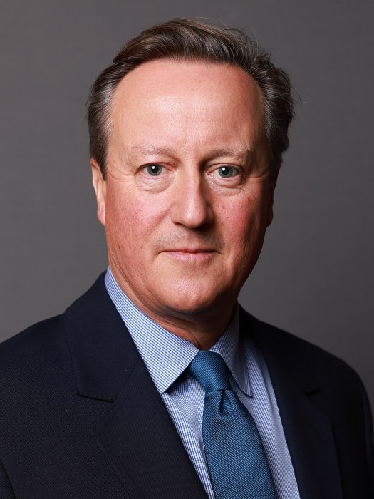 David Cameron portrait