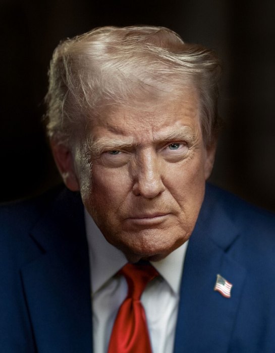 Donald Trump portrait