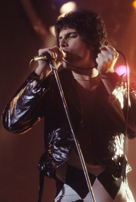 Freddie Mercury portrait
