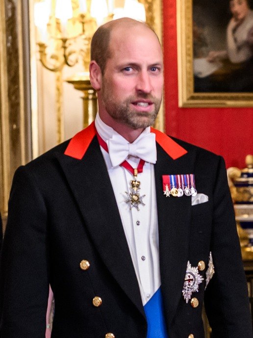 Prince William portrait