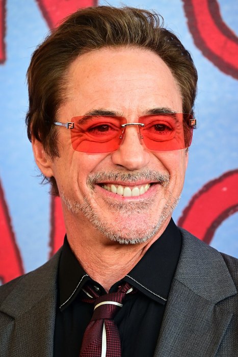 Robert Downey Jr portrait