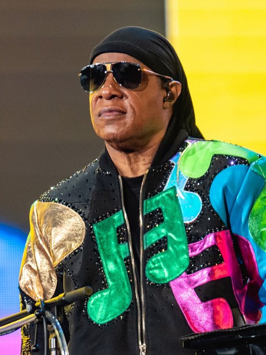 Stevie Wonder portrait